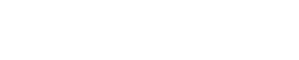 Planitimagna Grupo
